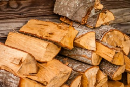 Image de différentes essences de bois de chauffage